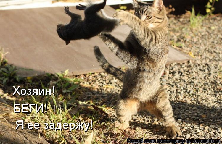 Хозяин! Я ее задержу! БЕГИ!... Котоматрица: Хозяин! Я ее задержу! БЕГИ!