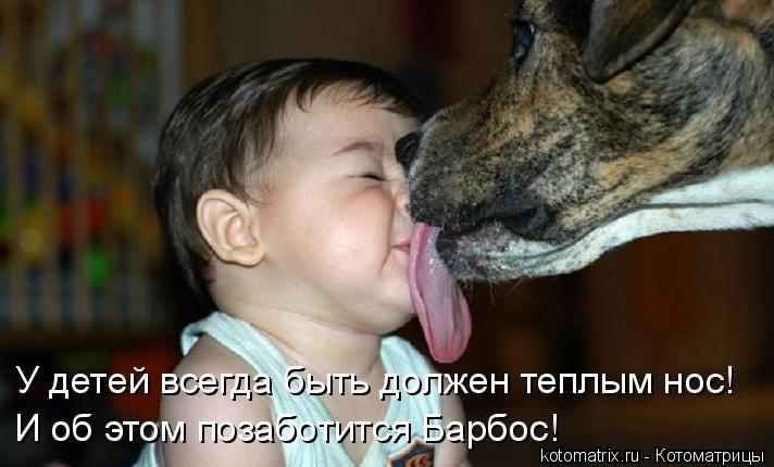 У детей всегда быть должен теплым нос! И об этом позаботится Барбос!... Котоматрица: У детей всегда быть должен теплым нос! И об этом позаботится Барбос!