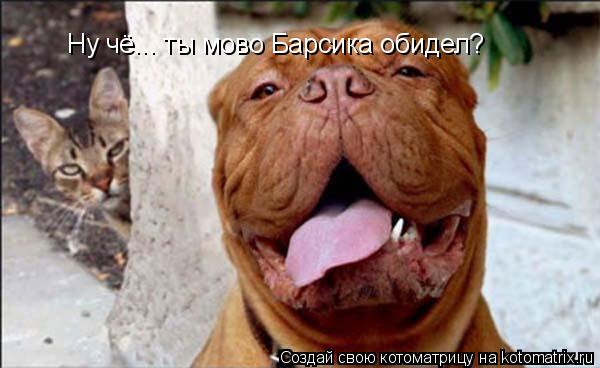 Ну чё... ты мово Барсика обидел?... Котоматрица: Ну чё... ты мово Барсика обидел?