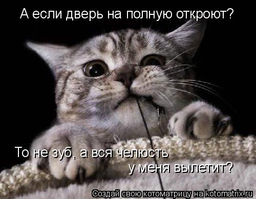 А если дверь на полную откроют? То не зуб, а вся челюсть у меня вылетит?... Котоматрица: А если дверь на полную откроют? То не зуб, а вся челюсть у меня вылетит?