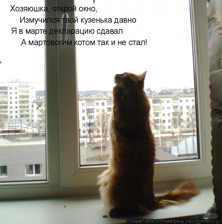 Хозяюшка, открой окно, Измучился твой кузенька давно Я в марте декларацию сдавал А мартовским котом ... Котоматрица: Хозяюшка, открой окно, Измучился твой кузенька давно Я в марте декларацию сдавал А мартовским котом так и не стал!
