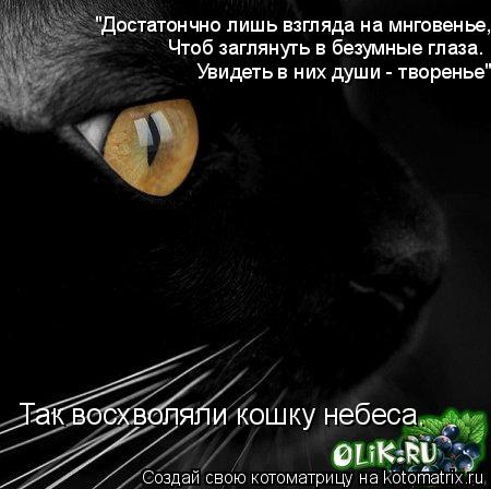 Так восхволяли кошку небеса. Чтоб заглянуть в безумные глаза. "Достатончно лишь взгляда на мнговенье,... Котоматрица: Так восхволяли кошку небеса. Чтоб заглянуть в безумные глаза. "Достатончно лишь взгляда на мнговенье, Увидеть в них души - творенье"