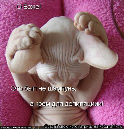О Боже! Это был не шампунь, а крем для депиляциии!... Котоматрица: О Боже! Это был не шампунь, а крем для депиляциии!