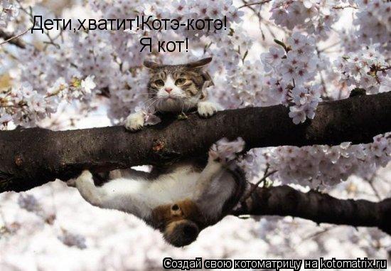Дети,хватит!Котэ-котэ! Я кот!... Котоматрица: Дети,хватит!Котэ-котэ! Я кот!