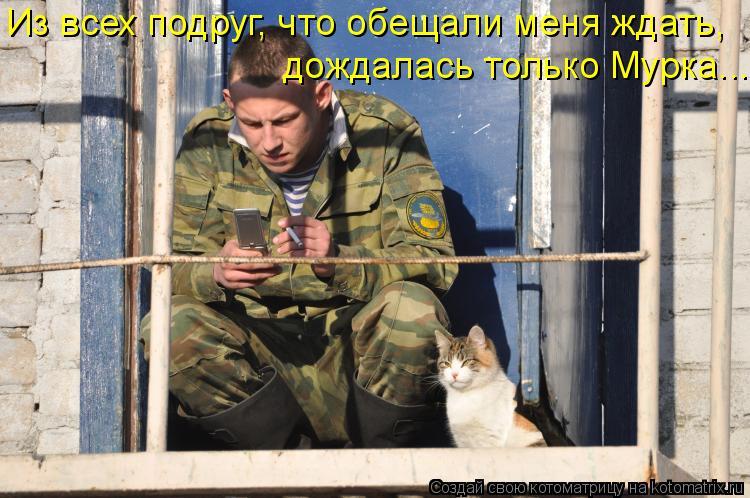 Котоматрица: Из всех подруг, что обещали меня ждать, дождалась только Мурка...