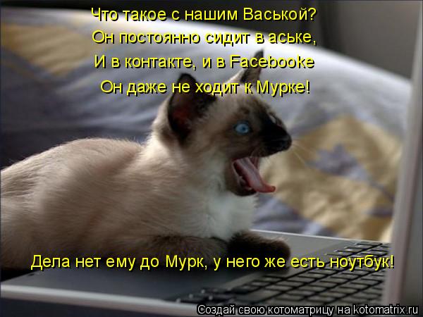 Что такое с нашим Васькой? Он постоянно сидит в аське, И в контакте, и в Facebooke Он даже не ходит к... Котоматрица: Что такое с нашим Васькой? Он постоянно сидит в аське, И в контакте, и в Facebooke Он даже не ходит к Мурке! Дела нет ему до Мурк, у него же есть ноут