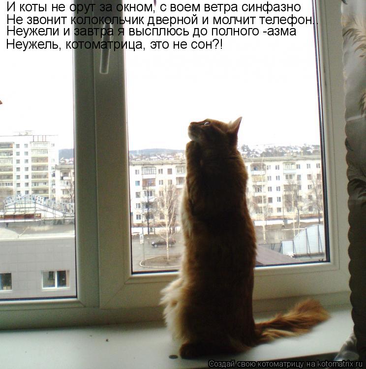 Котоматрица: Не звонит колокольчик дверной и молчит телефон.. Неужели и завтра я высплюсь до полного -азма И коты не орут за окном, с воем ветра синфазно Н