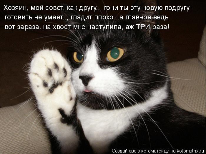 Котоматрица: Хозяин, мой совет, как другу.., гони ты эту новую подругу! готовить не умеет.., гладит плохо...а главное ведь вот зараза..на хвост мне наступила, 
