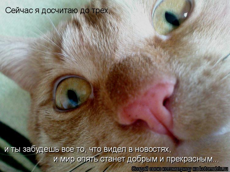 Котоматрица: Сейчас я досчитаю до трех, и ты забудешь все то, что видел в новостях, и мир опять станет добрым и прекрасным...