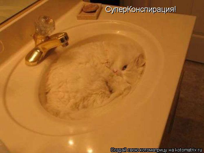 Котоматрица: СуперКонспирация!