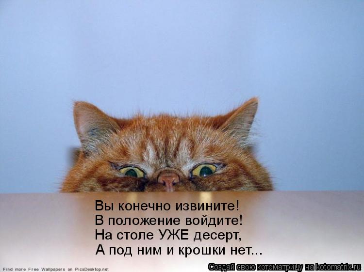 Вы конечно извините! В положение войдите! На столе УЖЕ десерт, А под ним и крошки нет...... Котоматрица: Вы конечно извините! В положение войдите! На столе УЖЕ десерт, А под ним и крошки нет...