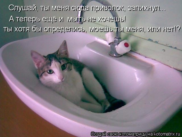 Котоматрица: Слушай, ты меня сюда приволок, запихнул... А теперь ещё и  мыть не хочешь!  ты хотя бы определись, моешь ты меня, или нет!?