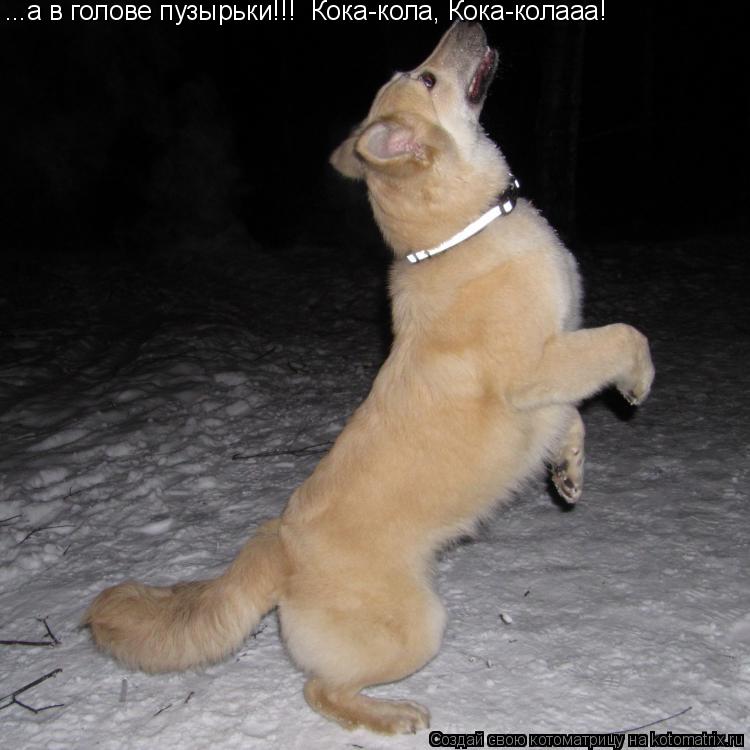 Котоматрица: ...а в голове пузырьки!!!  Кока-кола, Кока-колааа!