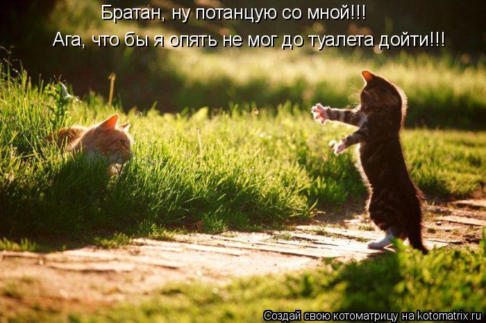 Котоматрица: Братан, ну потанцую со мной!!! Ага, что бы я опять не мог до туалета дойти!!!