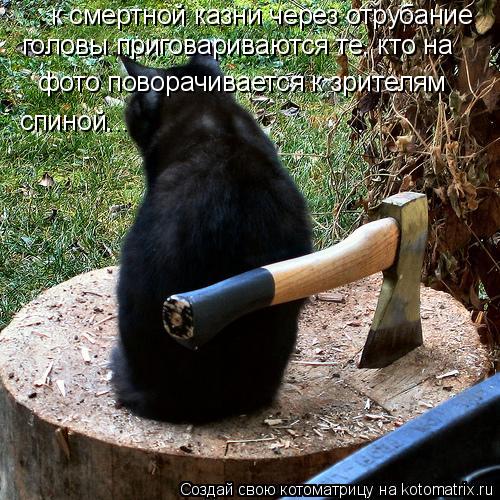 Котоматрица: к смертной казни через отрубание головы приговариваются те, кто на фото поворачивается к зрителям спиной...