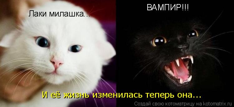 Котоматрица: Лаки милашка... И её жизнь изменилась теперь она... ВАМПИР!!!