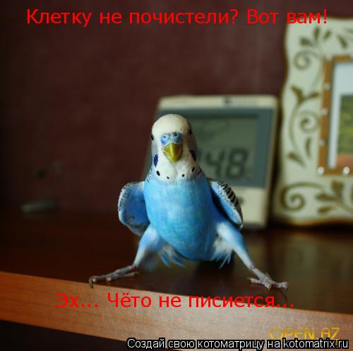 Котоматрица: Клетку не почистели? Вот вам! Эх... Чёто не писиется...