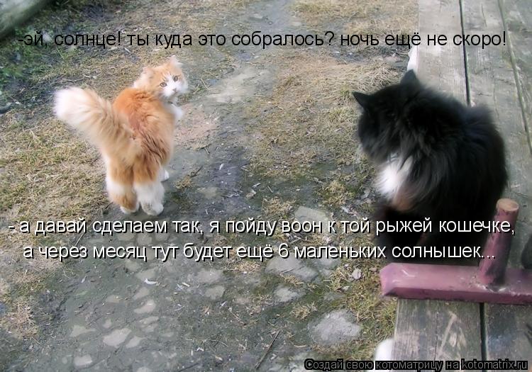 Котоматрица: -эй, солнце! ты куда это собралось? ночь ещё не скоро! - а давай сделаем так, я пойду воон к той рыжей кошечке, а через месяц тут будет ещё 6 мале