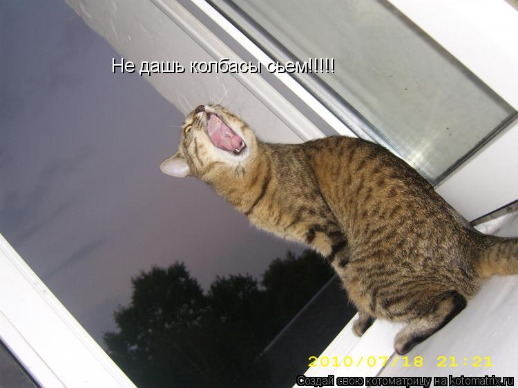 Котоматрица: Не дашь колбасы сьем!!!!!