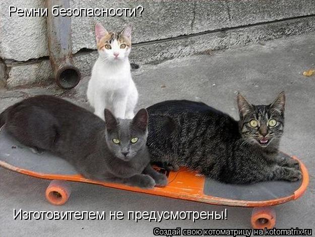 Котоматрица: Ремни безопасности? Изготовителем не предусмотрены!