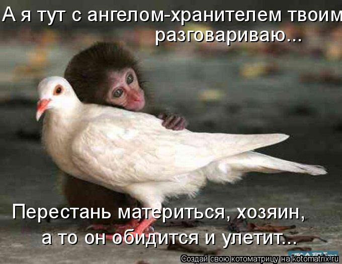 А я тут с ангелом-хранителем твоим разговариваю... Перестань материться, хозяин, а то он обидится и ... Котоматрица: А я тут с ангелом-хранителем твоим разговариваю... Перестань материться, хозяин, а то он обидится и улетит...
