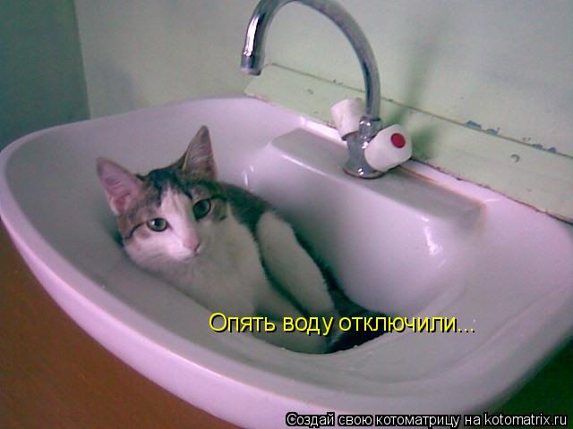 Опять воду отключили...... Котоматрица: Опять воду отключили...
