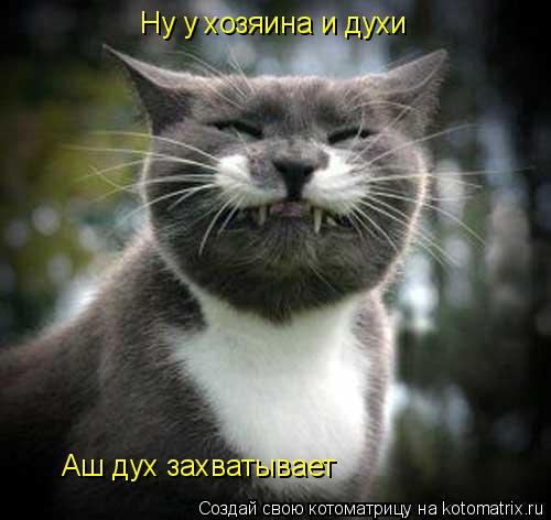 Ну у хозяина и духи Аш дух захватывает... Котоматрица: Ну у хозяина и духи Аш дух захватывает
