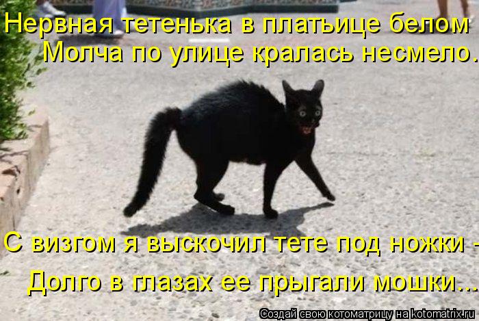 Котоматрица: Нервная тетенька в платьице белом  Молча по улице кралась несмело. С визгом я выскочил тете под ножки -  Долго в глазах ее прыгали мошки...