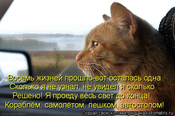 Восемь жизней прошло-вот осталась одна Сколько я не узнал, не увидел я сколько Решено! Я проеду весь ... Котоматрица: Восемь жизней прошло-вот осталась одна Сколько я не узнал, не увидел я сколько Решено! Я проеду весь свет до конца! Кораблём, самолётом, пешк