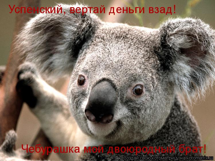 Успенский, вертай деньги взад! Чебурашка мой двоюродный брат!... Котоматрица: Успенский, вертай деньги взад! Чебурашка мой двоюродный брат!