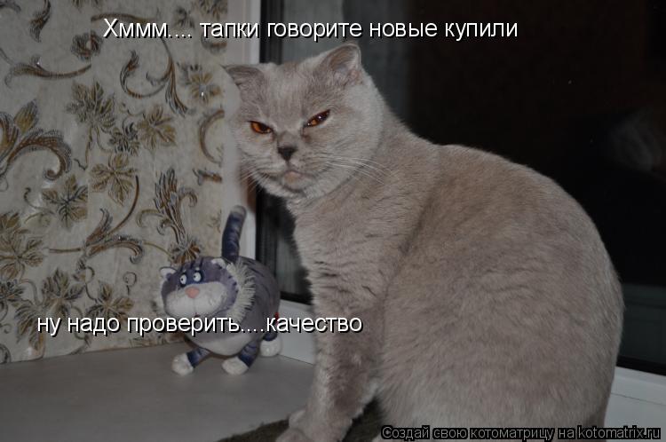 Хммм.... тапки говорите новые купили ну надо проверить....качество... Котоматрица: Хммм.... тапки говорите новые купили ну надо проверить....качество