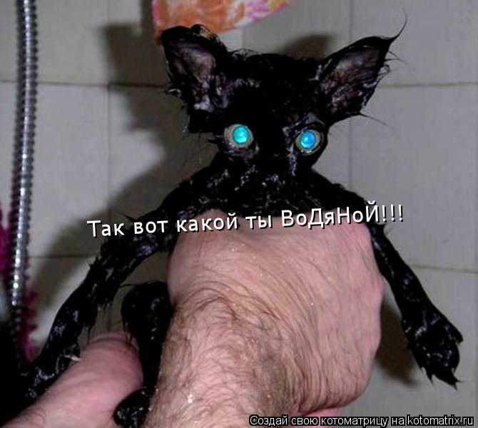 Так вот какой ты ВоДяНоЙ!!!... Котоматрица: Так вот какой ты ВоДяНоЙ!!!