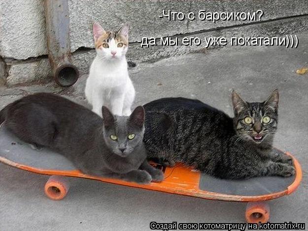 -Что с барсиком? -да мы его уже покатали)))... Котоматрица: -Что с барсиком? -да мы его уже покатали)))