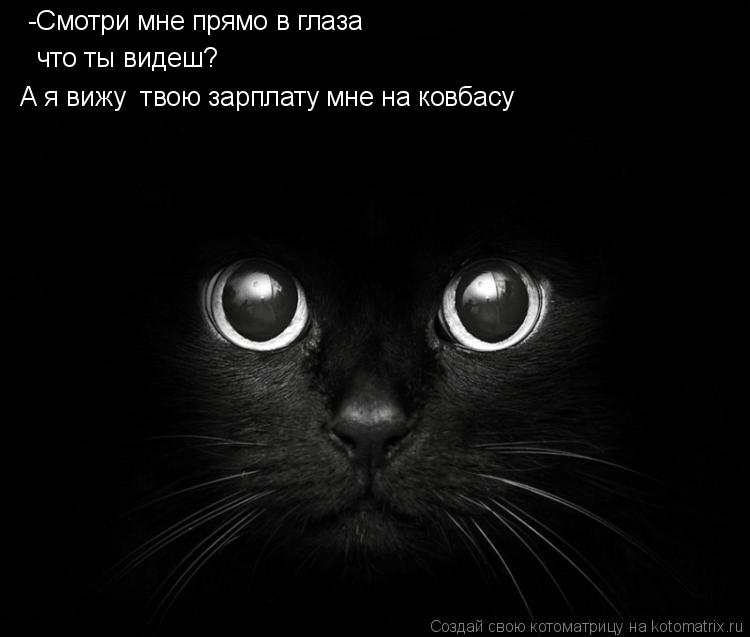-Смотри мне прямо в глаза что ты видеш? А я вижу твою зарплату мне на ковбасу... Котоматрица: -Смотри мне прямо в глаза что ты видеш? А я вижу твою зарплату мне на ковбасу