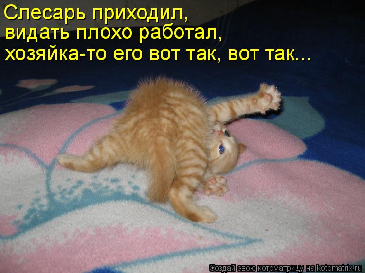 Слесарь приходил, видать плохо работал, хозяйка-то его вот так, вот так...... Котоматрица: Слесарь приходил, видать плохо работал, хозяйка-то его вот так, вот так...