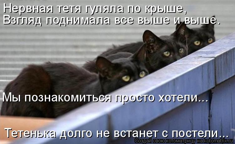 Нервная тетя гуляла по крыше, Взгляд поднимала все выше и выше. Мы познакомиться просто хотели... Те... Котоматрица: Нервная тетя гуляла по крыше, Взгляд поднимала все выше и выше. Мы познакомиться просто хотели... Тетенька долго не встанет с постели...