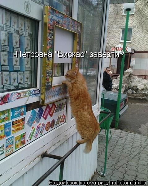 -Петровна "Вискас" завезли?... Котоматрица: -Петровна "Вискас" завезли?
