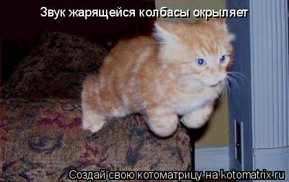 Звук жарящейся колбасы окрыляет... Котоматрица: Звук жарящейся колбасы окрыляет
