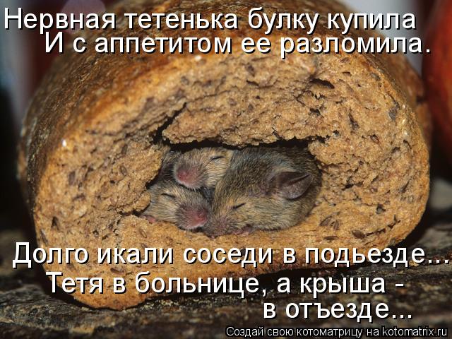 Нервная тетенька булку купила И с аппетитом ее разломила. Долго икали соседи в подьезде... Тетя в бо... Котоматрица: Нервная тетенька булку купила И с аппетитом ее разломила. Долго икали соседи в подьезде... Тетя в больнице, а крыша - в отъезде...