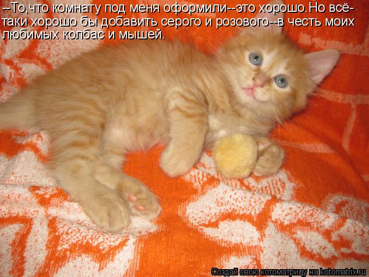 --То,что комнату под меня оформили--это хорошо.Но всё- таки хорошо бы добавить серого и розового--в ч... Котоматрица: --То,что комнату под меня оформили--это хорошо.Но всё- таки хорошо бы добавить серого и розового--в честь моих любимых колбас и мышей.