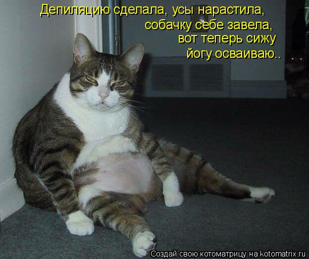 Депиляцию сделала, усы нарастила, собачку себе завела, вот теперь сижу йогу осваиваю..... Котоматрица: Депиляцию сделала, усы нарастила, собачку себе завела, вот теперь сижу йогу осваиваю..