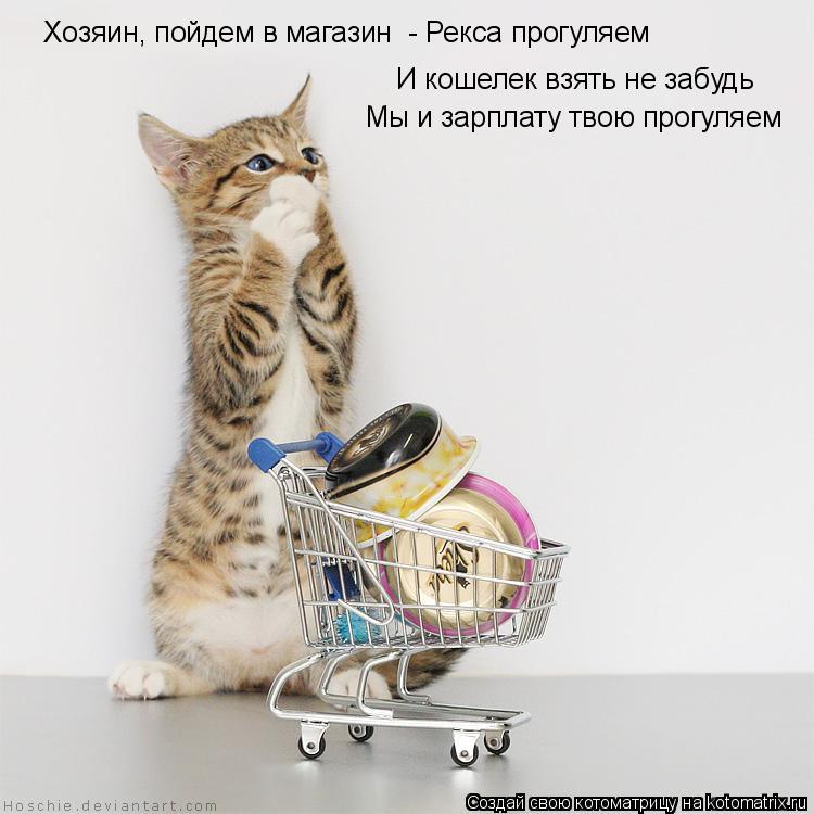 И кошелек взять не забудь Мы и зарплату твою прогуляем Хозяин, пойдем в магазин - Рекса прогуляем... Котоматрица: И кошелек взять не забудь Мы и зарплату твою прогуляем Хозяин, пойдем в магазин - Рекса прогуляем