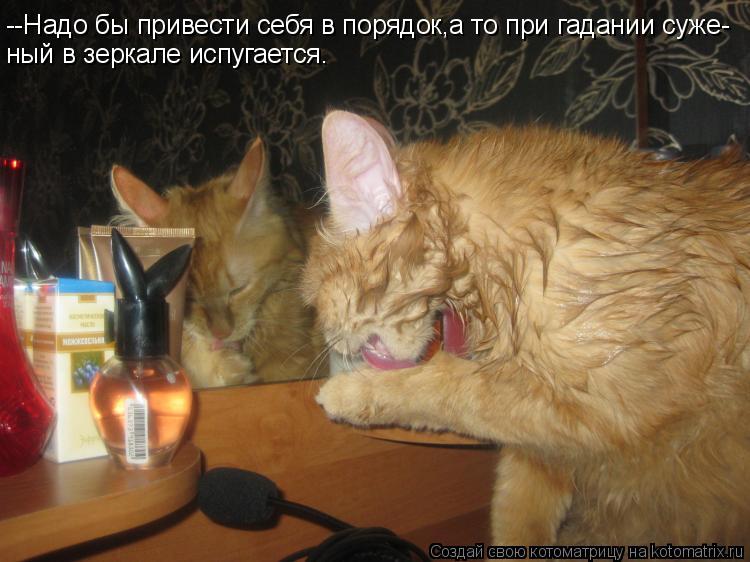 --Надо бы привести себя в порядок,а то при гадании суже- ный в зеркале испугается.... Котоматрица: --Надо бы привести себя в порядок,а то при гадании суже- ный в зеркале испугается.