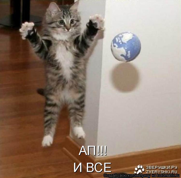 АП!!! И ВСЕ... Котоматрица: АП!!! И ВСЕ