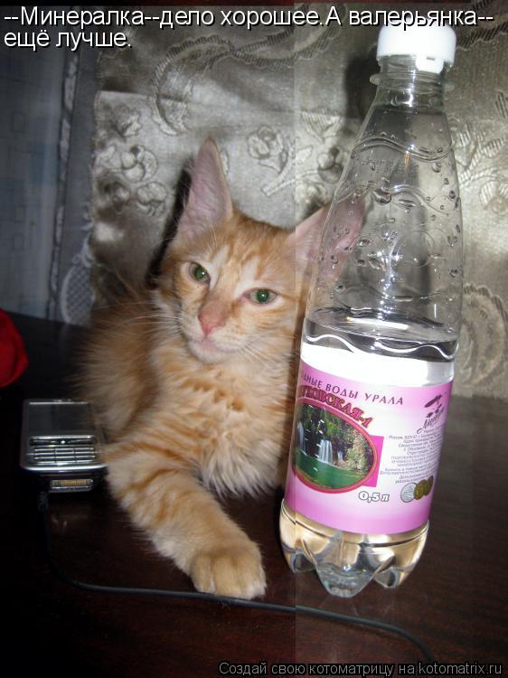 --Минералка--дело хорошее.А валерьянка-- ещё лучше.... Котоматрица: --Минералка--дело хорошее.А валерьянка-- ещё лучше.
