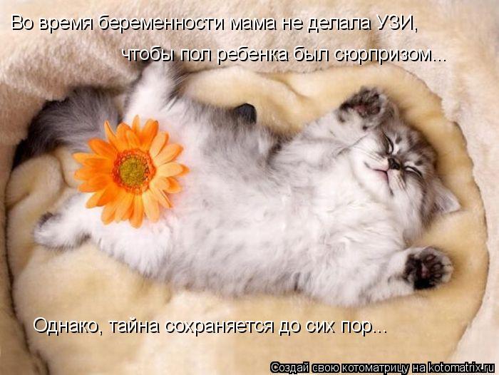 Во время беременности мама не делала УЗИ, чтобы пол ребенка был сюрпризом... Однако, тайна сохраняетс... Котоматрица: Во время беременности мама не делала УЗИ, чтобы пол ребенка был сюрпризом... Однако, тайна сохраняется до сих пор...
