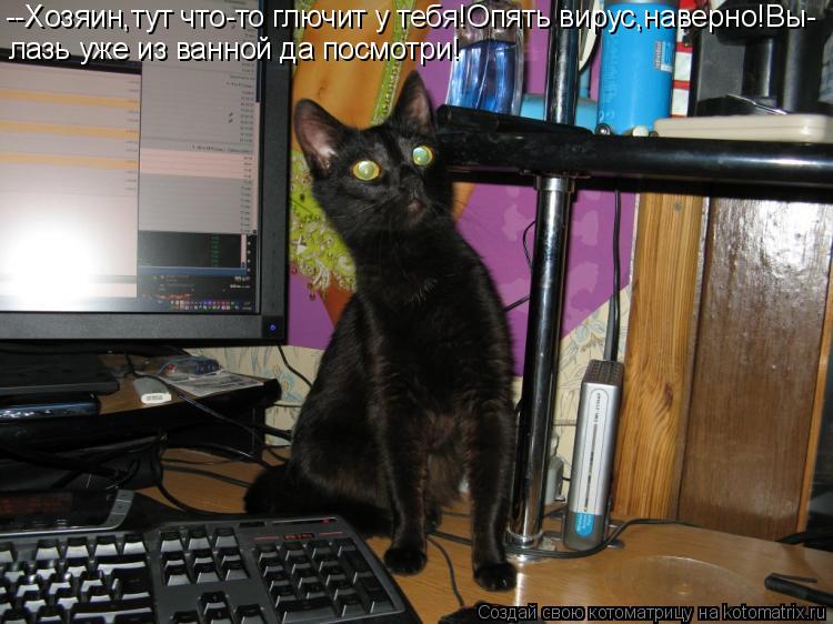 --Хозяин,тут что-то глючит у тебя!Опять вирус,наверно!Вы- лазь уже из ванной да посмотри!... Котоматрица: --Хозяин,тут что-то глючит у тебя!Опять вирус,наверно!Вы- лазь уже из ванной да посмотри!