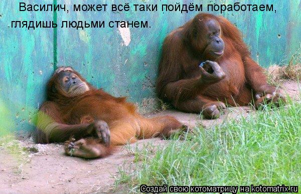 Василич, может всё таки пойдём поработаем, глядишь людьми станем.... Котоматрица: Василич, может всё таки пойдём поработаем, глядишь людьми станем.