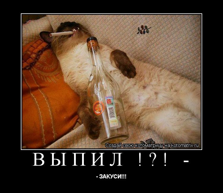 ВЫПИЛ !?! - - ЗАКУСИ!!!... Котоматрица: ВЫПИЛ !?! - - ЗАКУСИ!!!