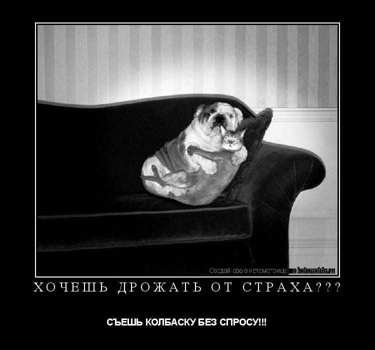 ХОЧЕШЬ ДРОЖАТЬ ОТ СТРАХА??? СЪЕШЬ КОЛБАСКУ БЕЗ СПРОСУ!!!... Котоматрица: ХОЧЕШЬ ДРОЖАТЬ ОТ СТРАХА??? СЪЕШЬ КОЛБАСКУ БЕЗ СПРОСУ!!!